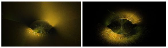 Belle et Bete 12-09-33-44 cutout