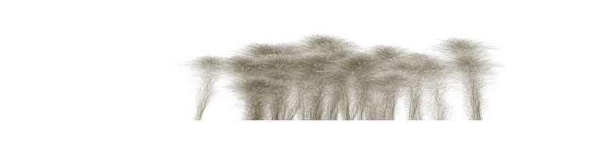 jardin feerique 15-51-28-93