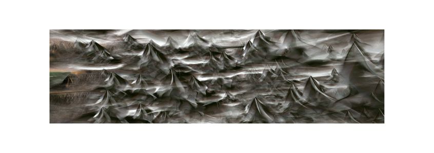 Laideronette 19-59-16-43